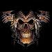 Skull t-shirt Shaman Skeleton Tee Sizes up to 5XL