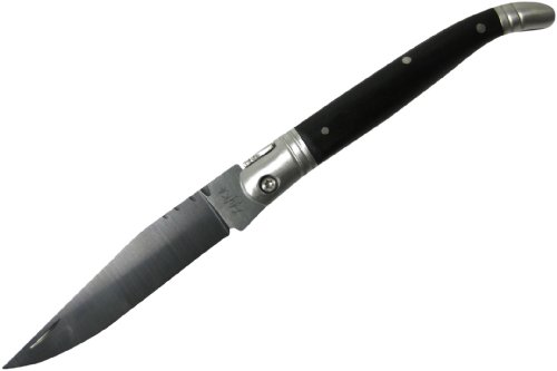 Zayka Laguiole-Style Ceramic Fruit Knife