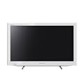 Sony 22EX553 ITALIA - Tv LED, Bollino GOLD contenuti interattivi + Pay Tv