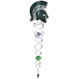Iron Stop Michigan State University Twister