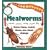 Mealworms: Raise them, watch them, see them change
