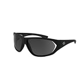 Gargoyles Camber Sunglasses