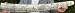 The Ship James Allen 1830 Scrimshaw Walrus Tusk Replica