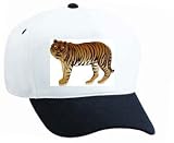 White Cap with zoo, endangered, Siberian, cat, Indian, tiger, captivity, Asian, Sumatran, carnivore, mammal, animal, species, predator, feline