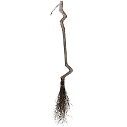 Witch Broom Halloween Costume Prop