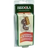 Birdola 54322 Squirrel Kob Bungee