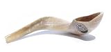 17-18 Kosher Rams Horn Polished Shofar Made in Israel