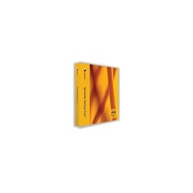 Symantec Backup Exec 2010 for Windows Small Business Server with 12 Months Basic Support