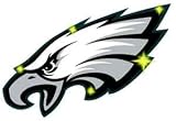 Philadelphia Eagles Flashing Pin Pendant