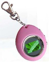 Sungale JC110 Keychain Digital Photo Frame