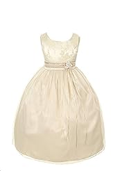 Metallic/Satin Tea Length Jacquard  Dress