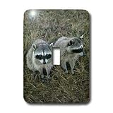 Wild animals - Two Raccoons - Light Switch Covers - single toggle switch