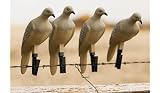 Mojo Clip On Dove Decoys