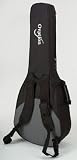  : Ovation 8358 Featherweight carry case
