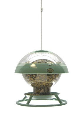 Songbird Station Medium
