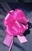 10 Pull String Bows - Gift Wrap Packaging - 5" 20 Loops - 1 1/4" - Hot Pink