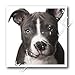Dogs Pitbull - American Pit Bull Terrier Puppy - Iron on Heat Transfers