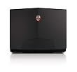 Alienware m17x10-1813DSB 17.3-Inch Laptop (Space Black)
