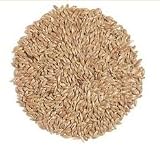 Canary Seed / Alpiste 5lb