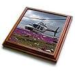 A Helicopter Lands In A Field Of Fireweed Off Hudson Bay Coast - 8x8 Trivet With 6x6 Ceramic Tile from 3dRose LLC