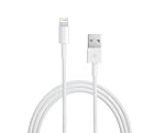 Apple Lightning - USB�����֥� MD818ZM/A