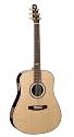 Seagull Artist Studio QII Guitar