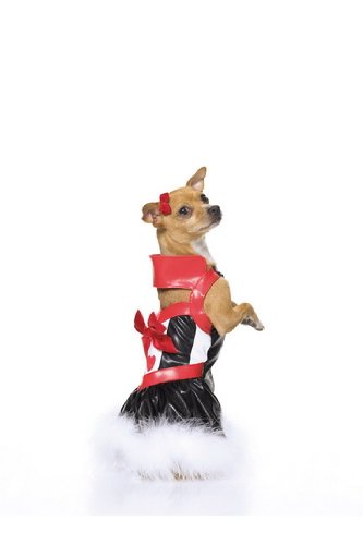 Queen Of Puppies Includecollared Dress With Marabou Trim (White/Red/Black;Small)