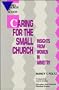 Caring for the Small Church: Insights from Women in Ministry (Small Church in Action)