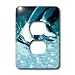 Skating - Figure Skating, Skates - Light Switch Covers - 2 plug outlet cover