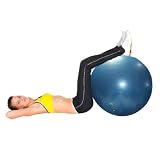 Wacces Pilates Yoga Fitness Exercise Sculpting Ball 65 cm Blue (Misc.)
