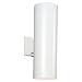 Sea Gull 8341-15 Ceiling Light