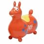 Gymnic Rody Max Orange