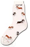 Corgi Poses Socks