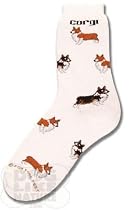 Corgi Poses Socks