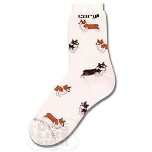 Buy For Bare Feet Corgi Poses Socks by For Bare Feet