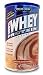 100% Whey Powder Chocolate Fudge Gluten-Free - 15.4 oz - Powder
