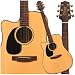 Musical Instruments : TAK G DREAD LEFTY AE CA