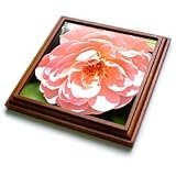 Patricia Sanders Flowers - Abundance Light Pink Rose Flower Macro Photography - Trivets