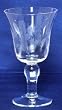 Individually Hand Etched Cactus Water Glass 7" Set / 4