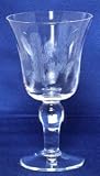 Individually Hand Etched Cactus Water Glass 7" Set / 4