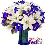Floral Lilies - Wild At Heart
