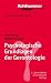 Grundriss Gerontologie: Psychologische Grundlagen der Gerontologie: Bd 3