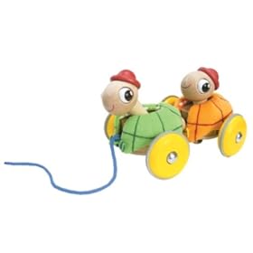 Wonderworld Pull-Along Tortoise