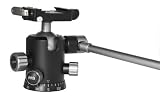 FLM Videoneiger PH-38 QRP R