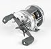 Sporting Goods : Abu Garcia Ambassadeur 5500C3 Baitcast Reel - 1115455