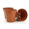 Sankey Plant Pot (Terracotta, 15 cm, Pack of 3)