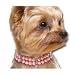 Dog Puppy Pink Double Pearl Necklace Jewelry Pet Collar