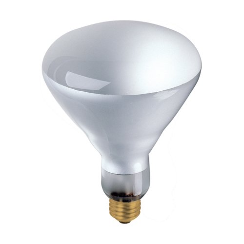 Bulbrite H120BR40FL 120-Watt Halogen Flood Light