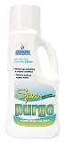 31mN%2BSDhAKL. SL160  Spa Purge 2 liter Spa and Hot Tub Chemical