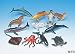 12 Ocean Animals